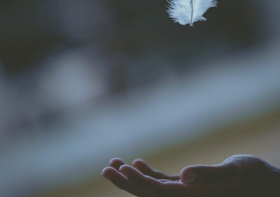 Appel à la paix du cardinal Aveline